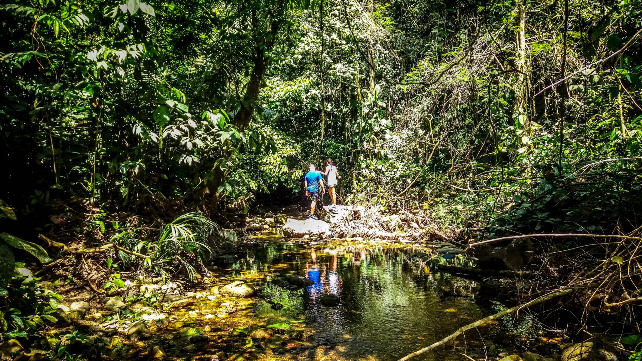 2 people hiking in the forest