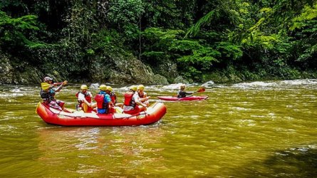 Medellin tours