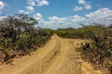 Guajira desert road