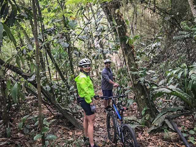 mountain bikers in forest