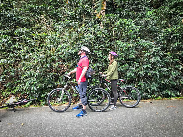 man and girl with bicycles in coffee plantation