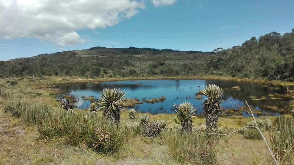 High mountain lake